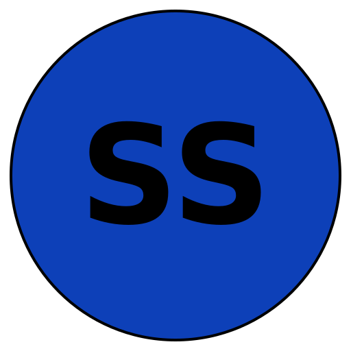 SavvySights
